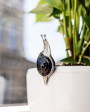 Decorative snail-shaped object on a white surface with a blurred plant and building in the background