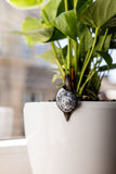 Snail Stained Glass Pot Plant Decor