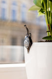 Snail Stained Glass Pot Plant Decor