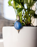 Decorative blue and silver pendant on a plant