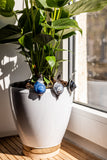Snail Stained Glass Pot Plant Decor