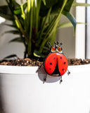 Red ladybug-shaped object on a white surface with green plants in the background