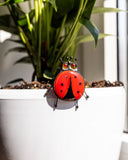Decorative ladybug on a plant pot with a blurred background