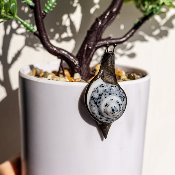 Potted plant with a decorative ornament shaped like a shell.