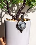 Potted plant with a decorative ornament shaped like a shell.