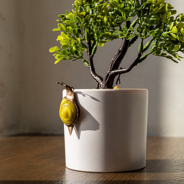 White ceramic pot with a small plant and decorative snail on a wooden surface