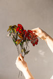Real Glass Red Poppies Planter