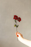 Real Glass Red Poppies Planter