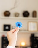A hand holding a small, vibrant blue artificial flower in front of a softly blurred home interior background with shelves and decor.
