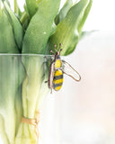Bee Stained Glass Pot Plant Decor