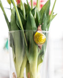 Snail Stained Glass Pot Plant Decor