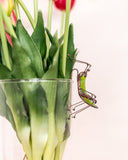 Grasshopper Stained Glass Pot Plant Decor