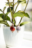 Snail Plant Pot Clip