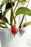 Snail Plant Pot Clip