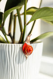 Snail Plant Pot Clip