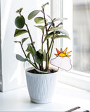 Sun Cloud Plant Stake