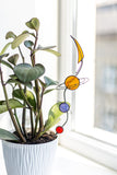 Planets plant stake