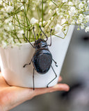 Stained Glass Bug Home Garden Plant Stake, Art Bookshelf Decor