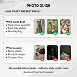 Custom Stained Glass Pet Suncatcher from Photo – Personalized Dog or Cat Gift