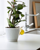 Snail Pot Hugger