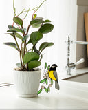 Tit Bird Planter