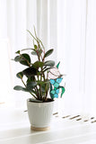 White Butterfly with Blue Flowers Plant Stake