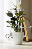 Stained Glass Butterfly Plant Clip