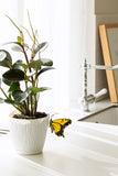 Stained Glass Butterfly Pot Stake