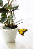 Stained Glass Butterfly Pot Stake