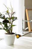 Stained Glass Butterfly Plant Clip