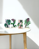 Philodendron Monstera Panel, Tea Light Holder