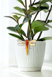 Unique Red Dragonfly Pot Hugger Real Glass Art
