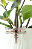 Orange Dragonfly Greenery Pot Decor Real Glass Art