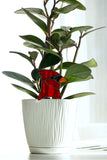 Elegant Cardinal Plant Stake Decor