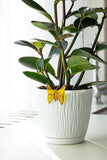  Yellow Fused Glass Planter for Outdoor Indoor Decor 
