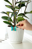 Baby Blue Plant Pot Hugger - Fused Glass Garden Decor
