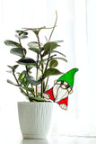 Real Glass Garden Gnome