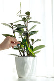 Praying Mantis Plant Stake Decor