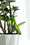 Praying Mantis Plant Stake Decor