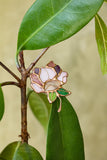Brooch Flower Peony