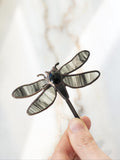 Dragonfly pendant