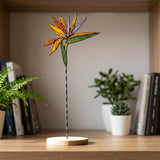 Strelitzia Plant Stake
